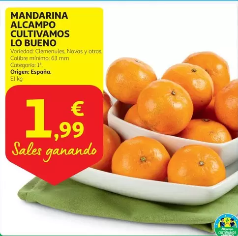 Oferta de Alcampo - Mandarina Alcampo Cultivamos por 1,99€ en Alcampo