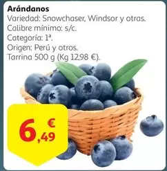 Oferta de Origen - Arándanos por 6,49€ en Alcampo