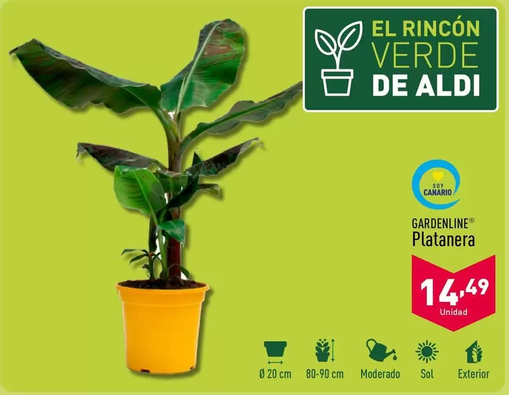 Oferta de Gardenline - Platanera por 14,49€ en ALDI