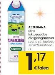 Oferta de Asturiana - Leche Sin Lactosa Semidesnatada por 1,17€ en Eroski