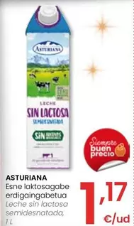 Oferta de Asturiana - Leche Sin Lactosa Semidesnatada por 1,17€ en Eroski