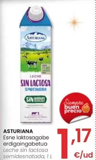 Oferta de Asturiana - Leche Sin Lactosa Semidesnatada por 1,17€ en Eroski