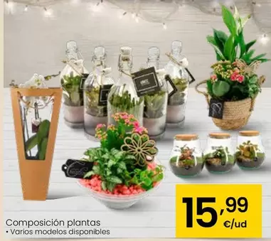 Oferta de Composicion Plantas por 15,99€ en Eroski