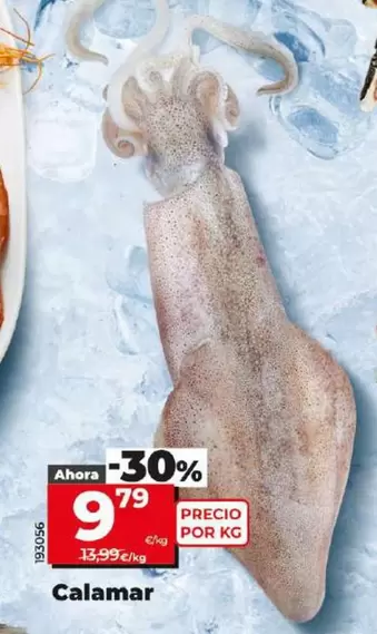 Oferta de Calamar por 9,79€ en Dia