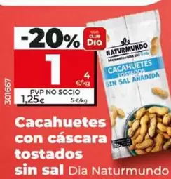 Oferta de Dia Naturmundo - Cacahuetes Con Cascara Tostados Sin Sal por 1€ en Dia