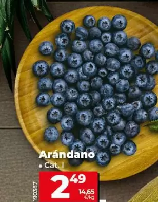 Oferta de Arándano por 2,49€ en Dia