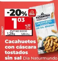 Oferta de Dia Naturmundo - Cacahuetes Con Cascara Tostados Sin Sal por 1,03€ en Dia