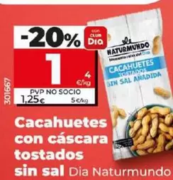 Oferta de Dia Naturmundo - Cacahuetes Con Cascara Tostados Sin Sal por 1€ en Dia