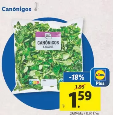 Oferta de Canónigos por 1,59€ en Lidl