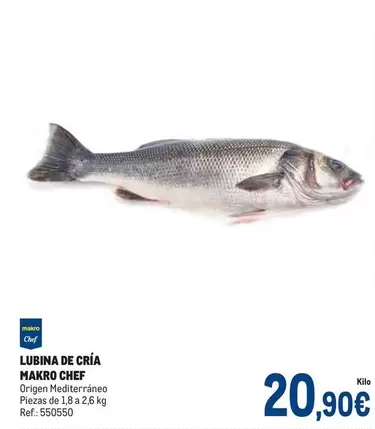 Oferta de Makro - Lubina De Cria por 20,9€ en Makro