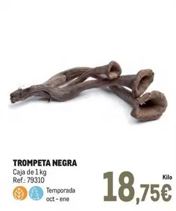 Oferta de Trompeta Negra por 18,75€ en Makro