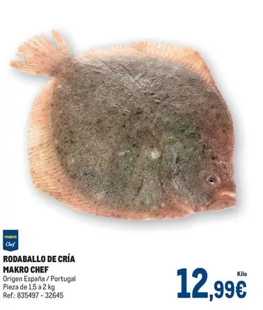 Oferta de Makro - Rodaballo De Cría por 12,99€ en Makro