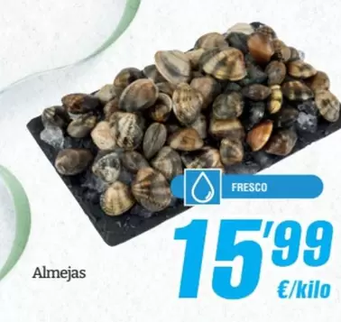 Oferta de Almejas por 15,99€ en SPAR Fragadis