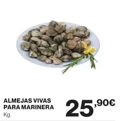 Oferta de Almejas Vivas Para Marinera por 25,9€ en Supercor