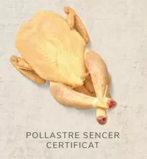 Oferta de Pollastre Sencer Certificat en Consum