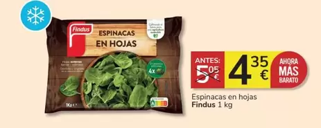 Oferta de Findus - Espinacas En Hojas por 4,35€ en Consum