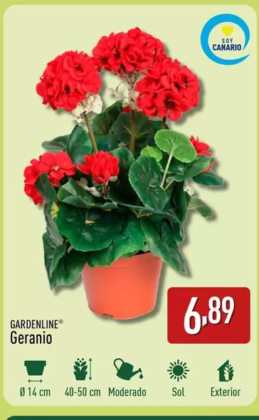 Oferta de Gardenline - Geranio por 6,89€ en ALDI