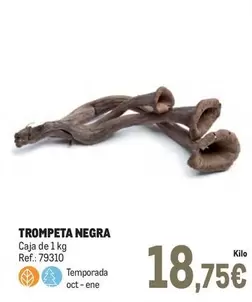 Oferta de Trompeta Negra por 18,75€ en Makro