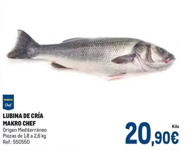 Oferta de Makro - Lubina De Cría por 20,9€ en Makro