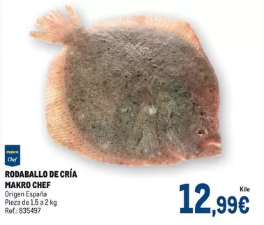 Oferta de Makro - Rodaballo De Cria por 12,99€ en Makro