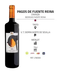 Oferta de Pagos De Fuente Reina - Crianza Bodegas Fuente Reina en Supermercados MAS