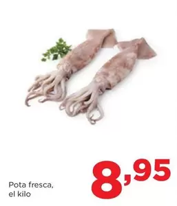 Oferta de Pota Fresca por 8,95€ en Alimerka