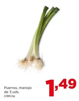 Oferta de Puerros, Manojo De 3 Uds. por 1,49€ en Alimerka