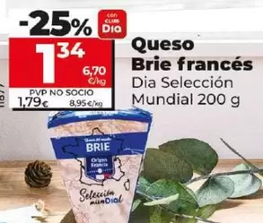 Oferta de Dia Seleccion Mundial - Queso Brie Frances por 1,34€ en Dia