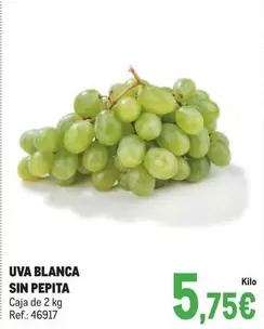 Oferta de Uva Blanca Sin Pepita por 5,75€ en Makro