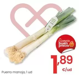 Oferta de Puerro Manojo por 1,89€ en Eroski