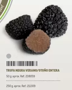 Oferta de Trufa Negra Verano/otono Entera en Makro