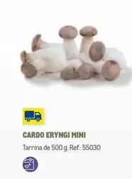 Oferta de Cardo Eryngi Mini en Makro