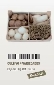 Oferta de Cultivo 4 Variedades en Makro