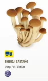 Oferta de Shimeji en Makro