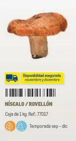 Oferta de Niscalpo Rovellón en Makro