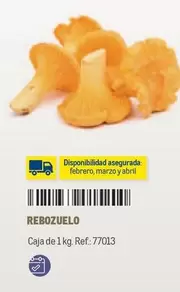 Oferta de Abril - Rebozuelo en Makro