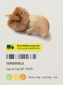 Oferta de Senderuela en Makro