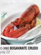 Oferta de Bogavante Crudo en Abordo