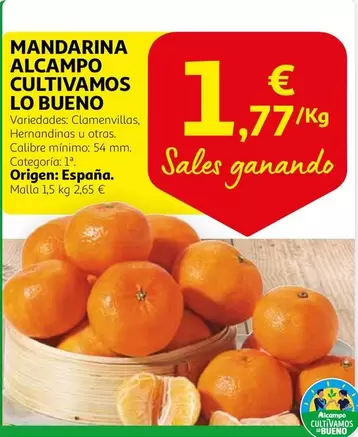 Oferta de Alcampo - Mandarina Alcampo Cultivamos por 1,77€ en Alcampo