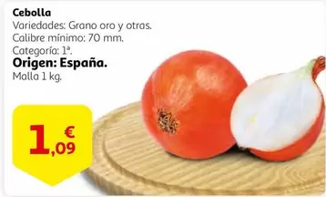 Oferta de Oro - Cebolla por 1,09€ en Alcampo