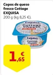 Oferta de Exquisa - Copos De Queso Fresco Cottage por 1,65€ en Alcampo