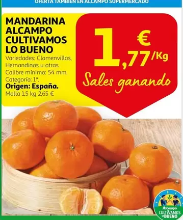 Oferta de Alcampo - Mandarina Alcampo Cultivamos Lo Bueno por 1,77€ en Alcampo