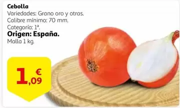 Oferta de Oro - Cebolla por 1,09€ en Alcampo