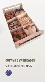 Oferta de Cultivo 6 Variedades en Makro