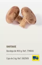 Oferta de Shiitake en Makro