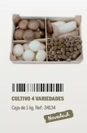 Oferta de Cultivo 4 Variedades en Makro