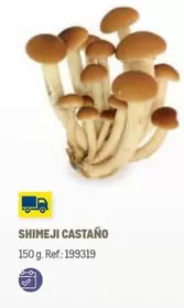 Oferta de Shimeji en Makro