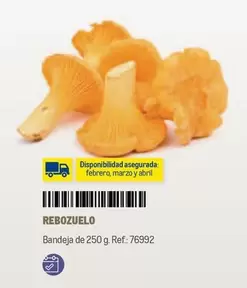 Oferta de Abril - Rebozuelo en Makro