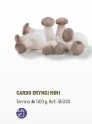 Oferta de Cardo Eryngi Mini en Makro