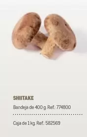 Oferta de Shiitake en Makro